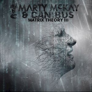 Matrix Theory III (Single)