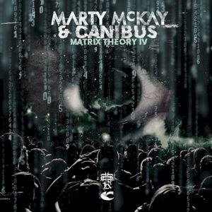 Matrix Theory IV (Single)
