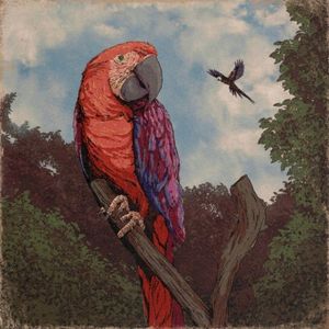 No Matter Where You Go (Single)