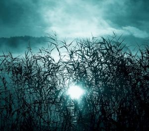 Consumed