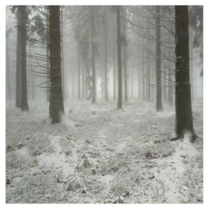 Arbres