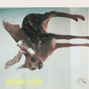 NORTHERN LIGHTS// (Single)