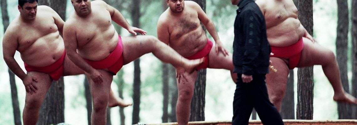 Cover Sumo