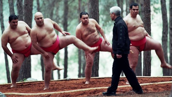 Sumo