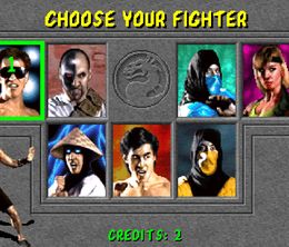 image-https://media.senscritique.com/media/000022796102/0/mortal_kombat.jpg