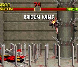image-https://media.senscritique.com/media/000022796103/0/mortal_kombat.jpg