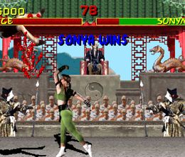 image-https://media.senscritique.com/media/000022796109/0/mortal_kombat.jpg