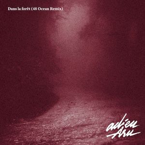 Dans la forêt (48 Ocean Remix)