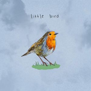 little bird (Single)