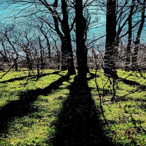 Music for Mental Health