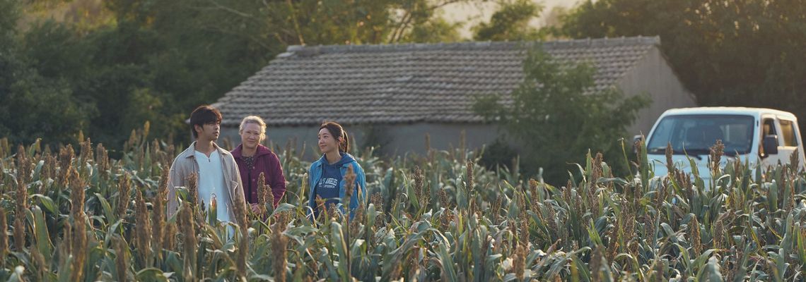 Cover Breeze by the Sea