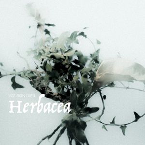 Herbacea (EP)