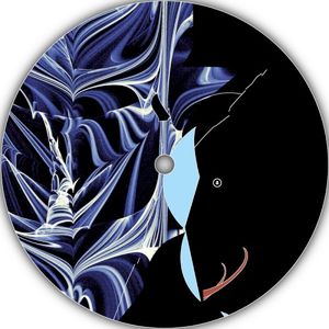 Non-Rigid Designator (EP)