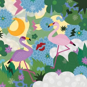 フラミンゴ・コスモス