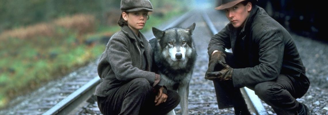Cover Natty Gann