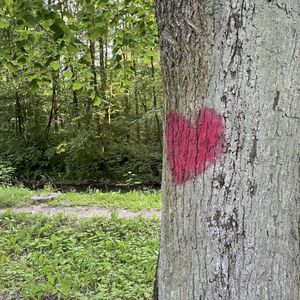 Chcem veľa povedať (Single)
