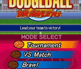 image-https://media.senscritique.com/media/000022801985/0/super_dodgeball_brawlers.png