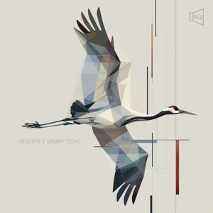 Binary Echo (EP)