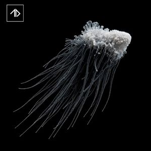 Spiral Descent (Single)
