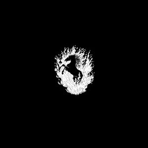 The Besnard Lakes Are A Live (Live)