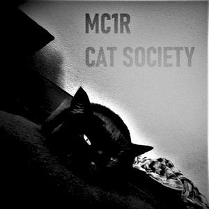 Cat Society