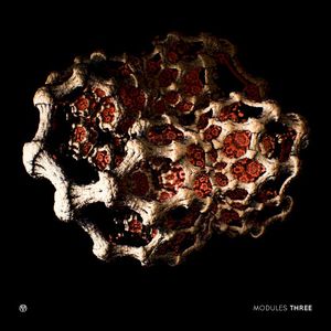 MODULES three (EP)