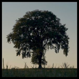 liminal (Single)
