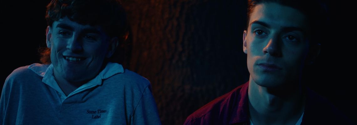 Cover Dans les tournesols