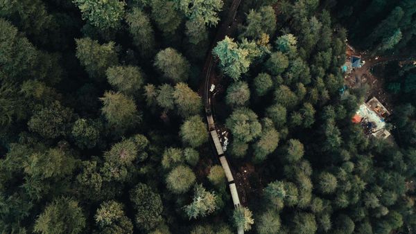 Shimla, une fugue des temps modernes