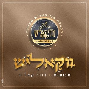 תנועות (ווקאלי) (Single)