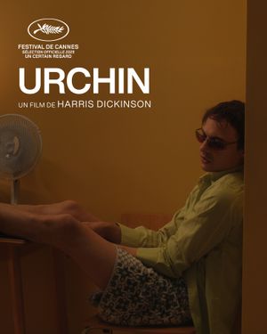 Urchin