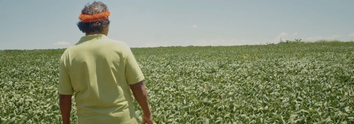 Cover De la guerre froide à la guerre verte