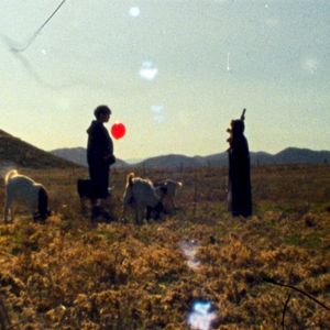Buffalo (Single)