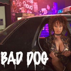 Bad Dog (Single)