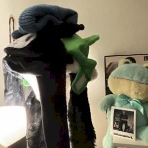 DON'T HURT BUNII (Single)