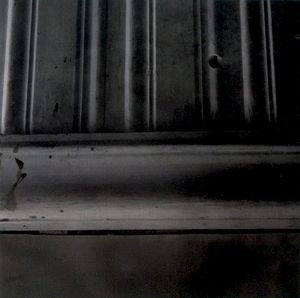 Needles Into the Ground