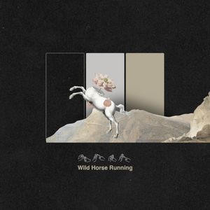 Wild Horse Running (Single)