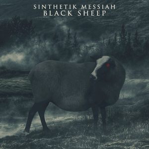 Black Sheep (Single)
