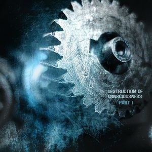 Cyber Female (SiJ remix)