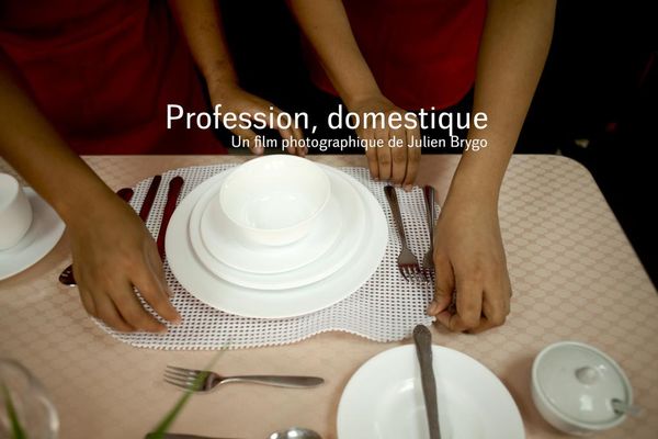 Profession, domestique