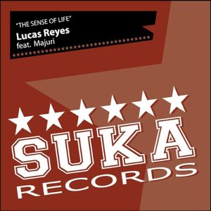 The Sense of Life (Markus Binapfl aka Big World remix)