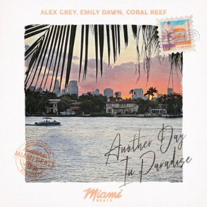Another Day In Paradise (Single)