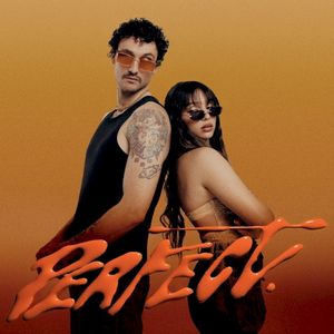 Perfect (Single)