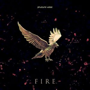 Fire (Single)