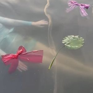 Full Bloom (Single)