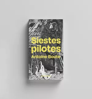 Siestes pilotes