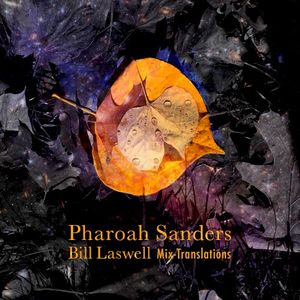 Bill Laswell Mix-Translations (EP)