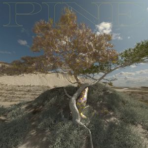 PINE (EP)