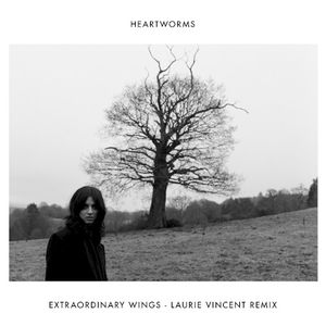 Extraordinary Wings (Laurie Vincent remix) (Single)