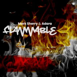 Flammable (Single)